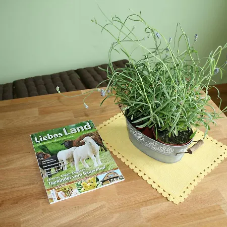 펜션 Cozy With Garden In Blowatz Near The Sea *